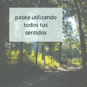 pasea pasea utilizando todos tus sentidos